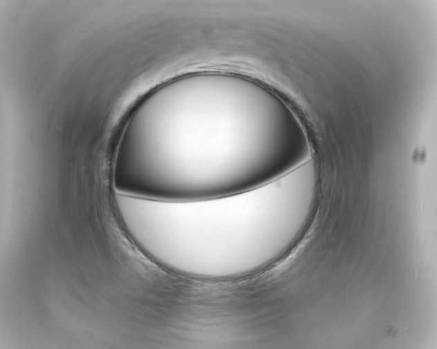 X0000094351506200711021301