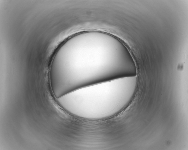 X0000094351507200711021301