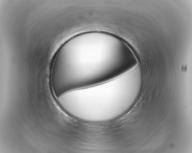 X0000094351508200711021301
