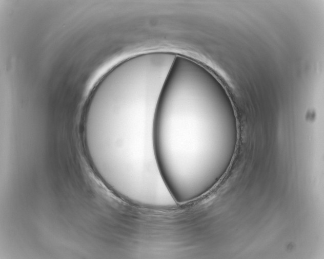 X0000094351510200711021301