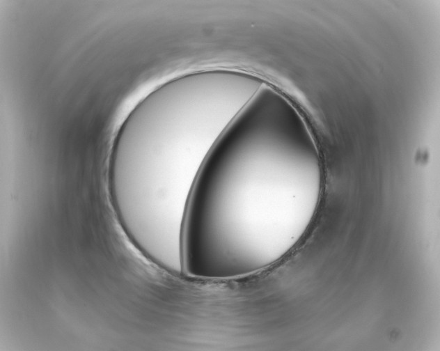 X0000094351512200711021301