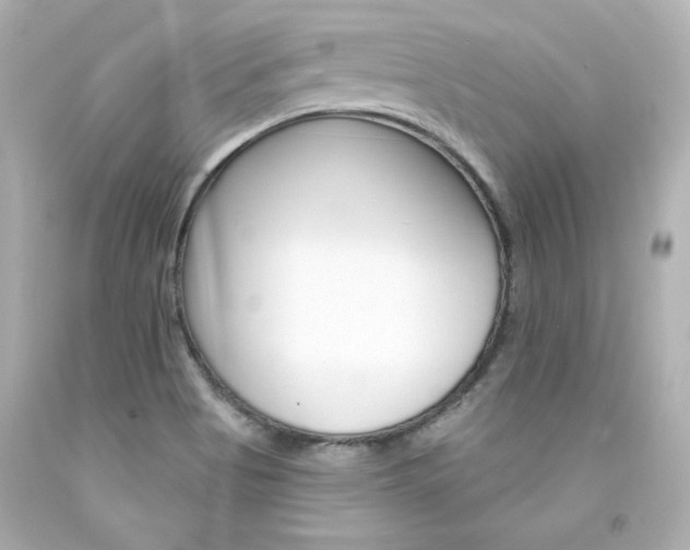 X0000094351513200711021301