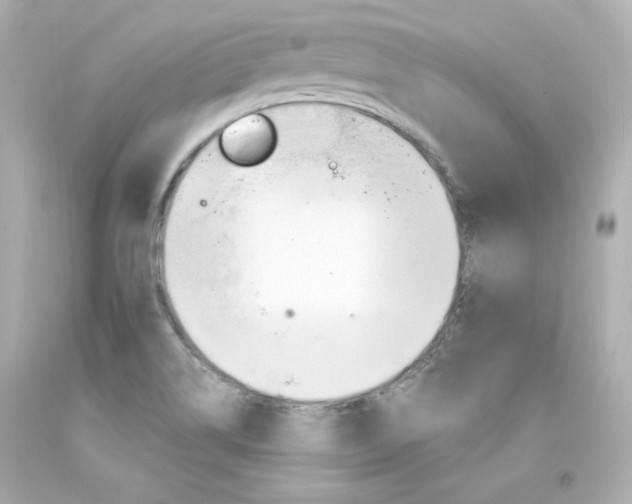 X0000094351514200711021301