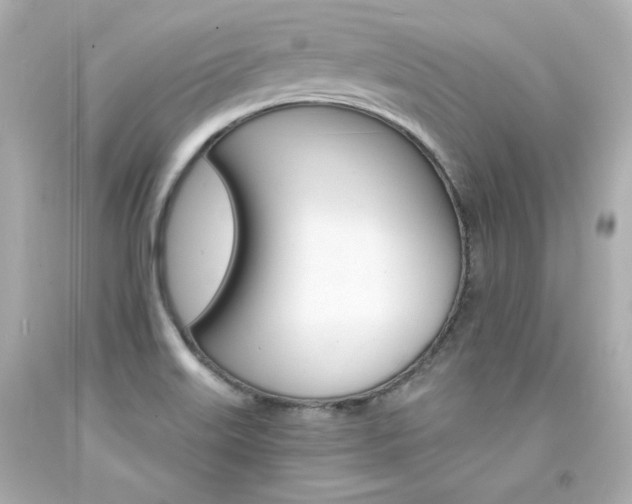 X0000094351515200711021301