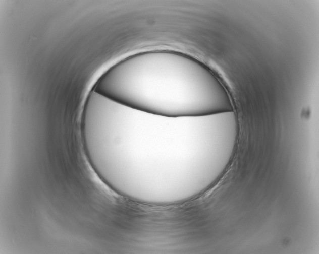 X0000094351516200711021301