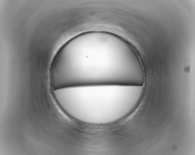 X0000094351517200711021301