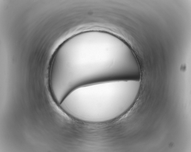 X0000094351518200711021301