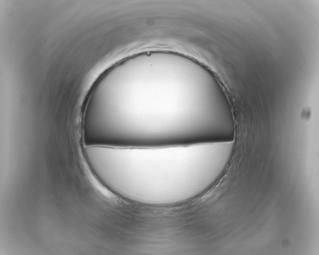 X0000094351519200711021301
