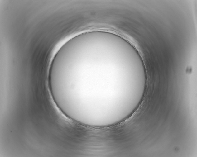 X0000094351520200711021301