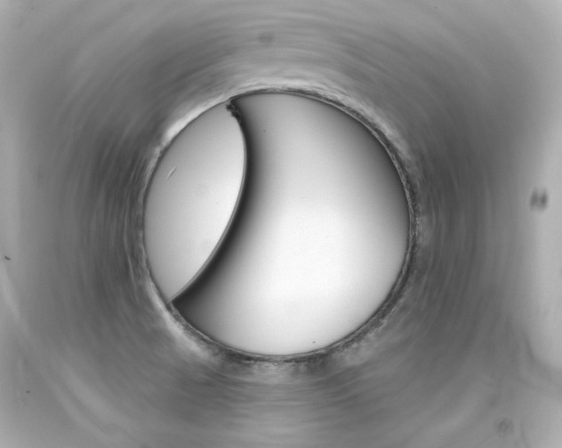 X0000094351521200711021301