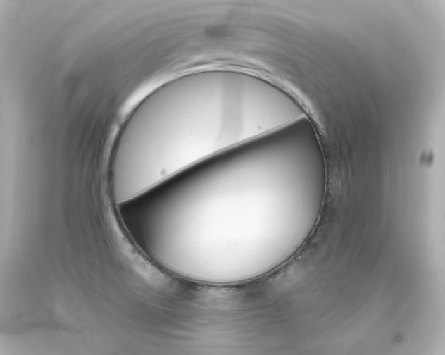 X0000094351522200711021301