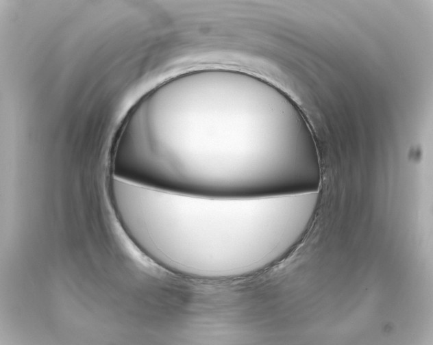 X0000094351523200711021301