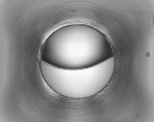 X0000094351524200711021301