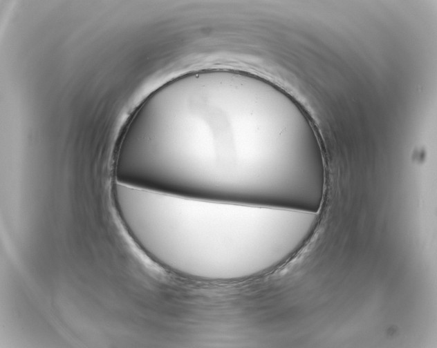 X0000094351525200711021301