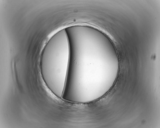 X0000094351526200711021301