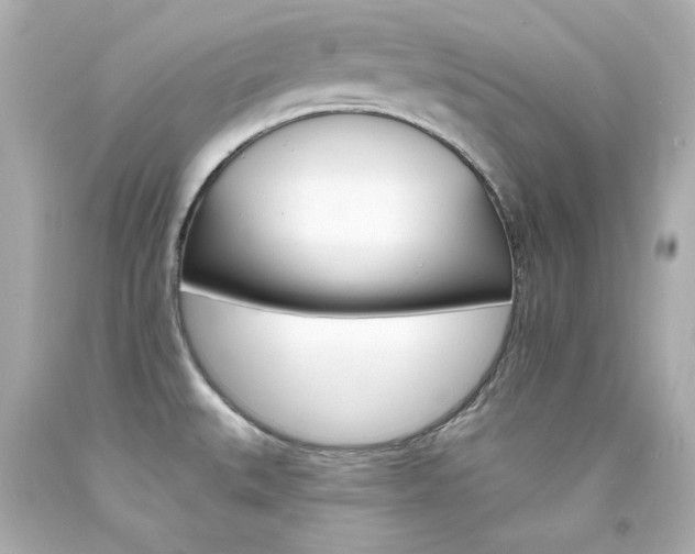 X0000094351527200711021301