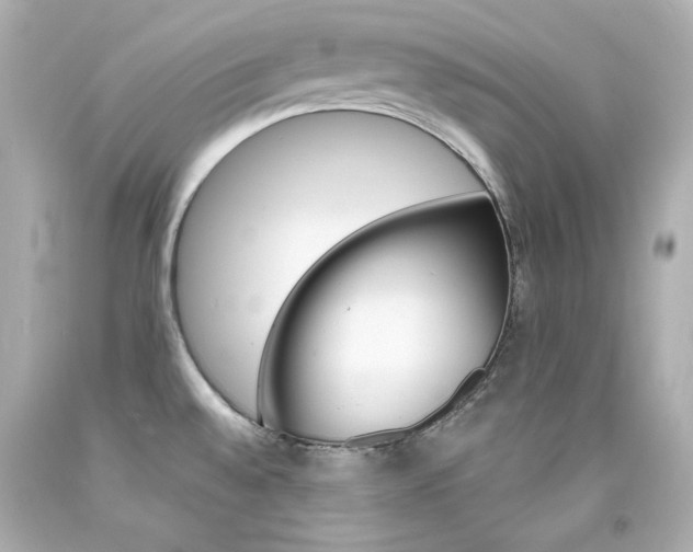 X0000094351528200711021301