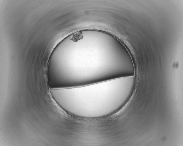 X0000094351529200711021301
