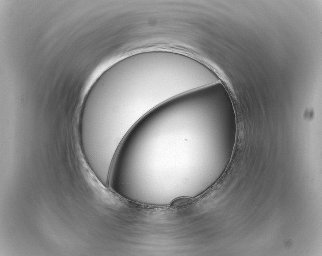X0000094351530200711021301