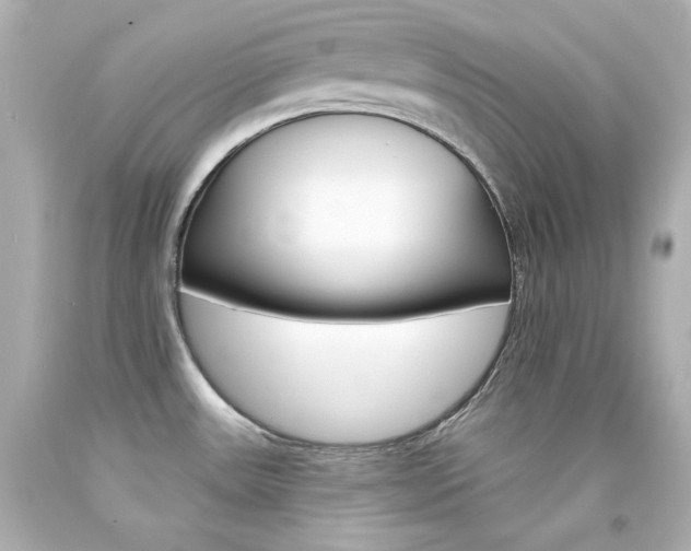 X0000094351531200711021301