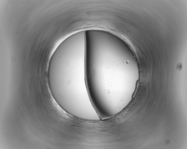 X0000094351532200711021301