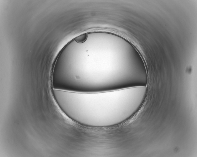 X0000094351533200711021301