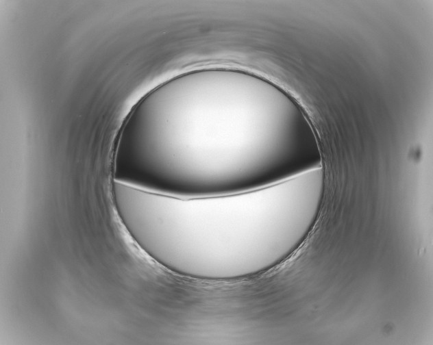 X0000094351534200711021301