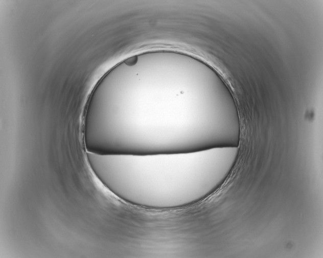 X0000094351535200711021301