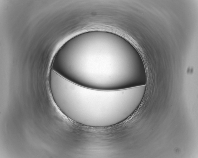 X0000094351536200711021301