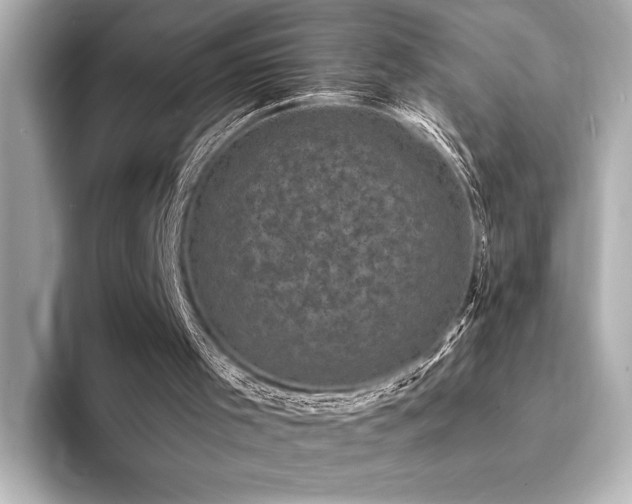 X0000094350001200711021441