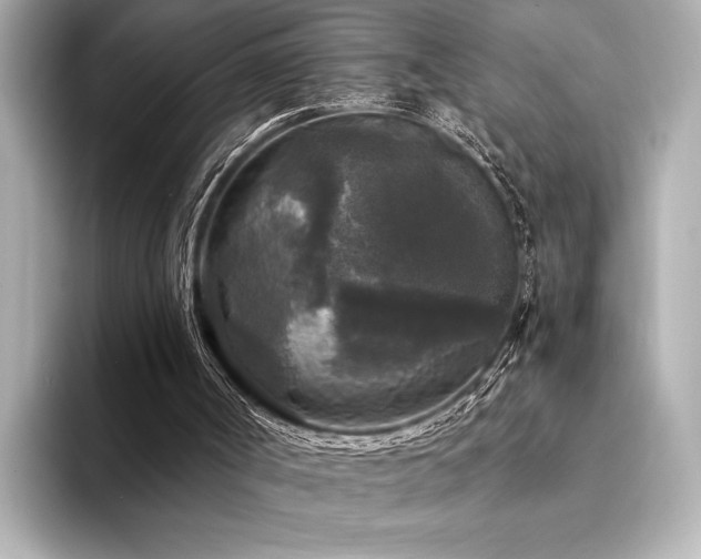 X0000094350002200711021441