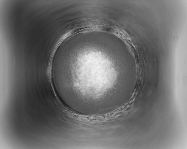 X0000094350003200711021441