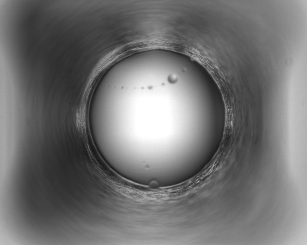 X0000094350004200711021441