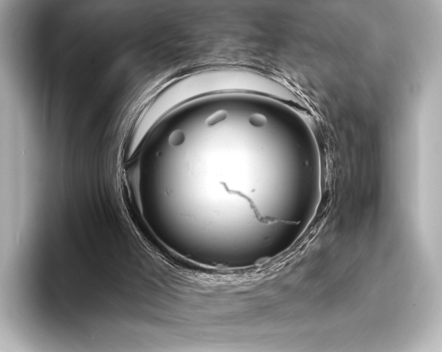 X0000094350005200711021441