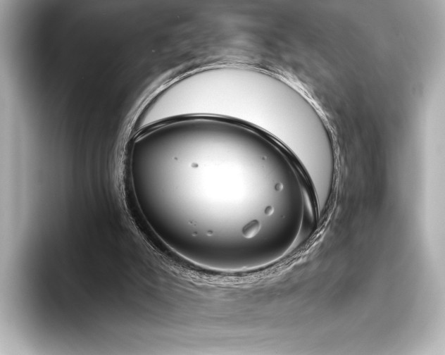 X0000094350007200711021441