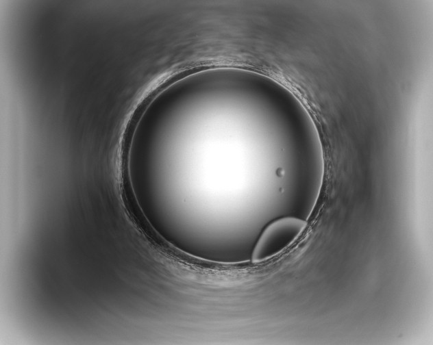 X0000094350008200711021441