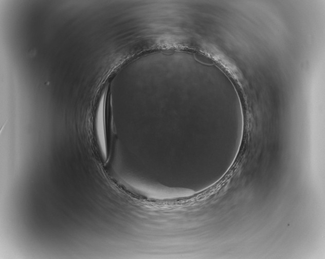 X0000094350009200711021441