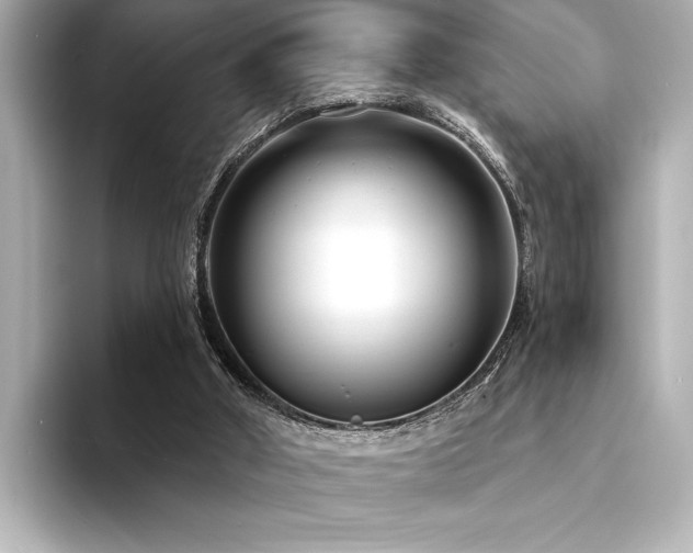 X0000094350010200711021441