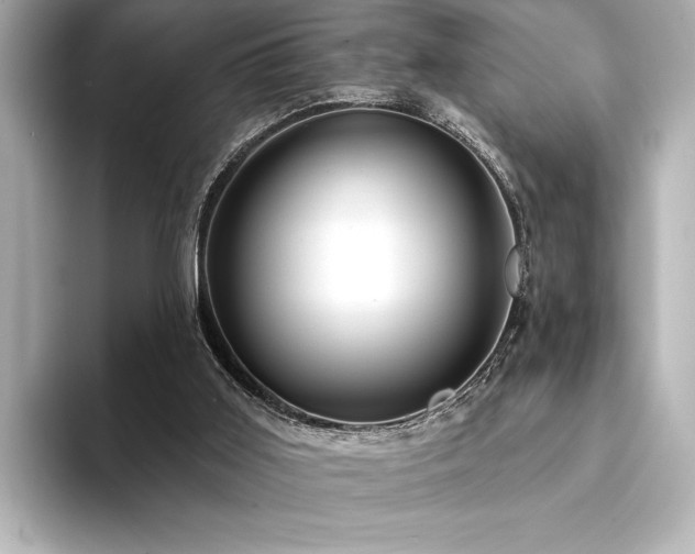 X0000094350011200711021441