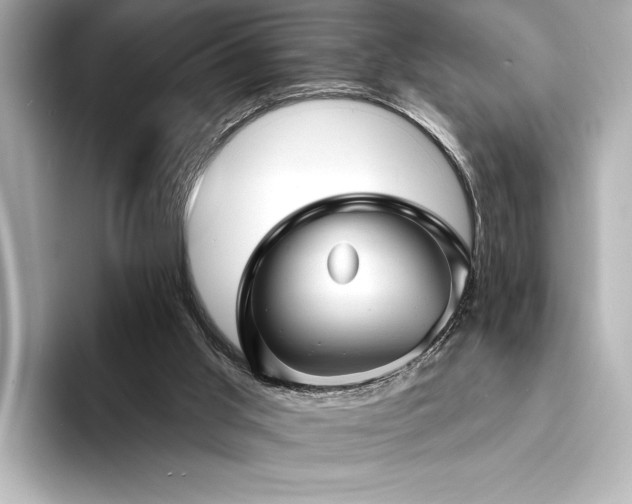 X0000094350013200711021441