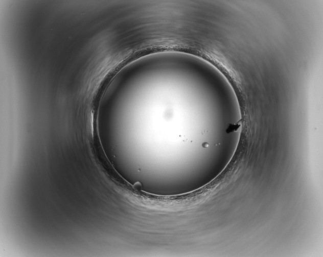 X0000094350014200711021441