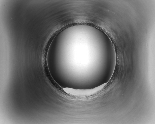 X0000094350015200711021441