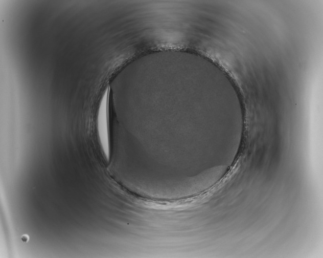 X0000094350017200711021441