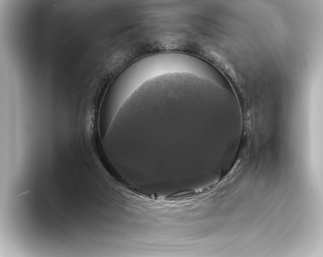 X0000094350018200711021441