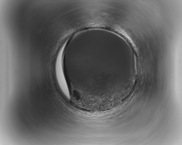 X0000094350019200711021441