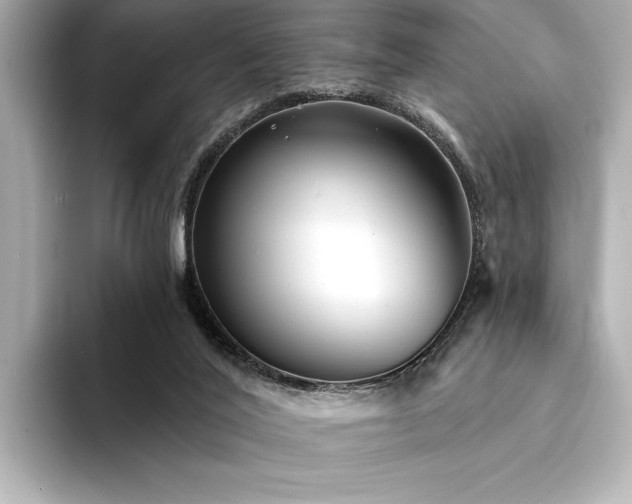 X0000094350020200711021441