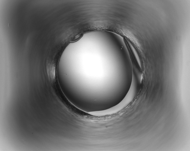 X0000094350021200711021441