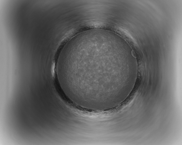 X0000094350024200711021441