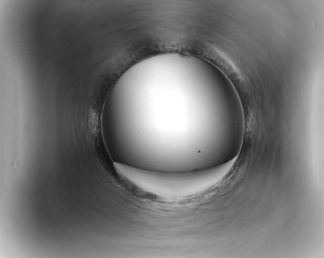 X0000094350025200711021441