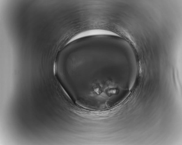 X0000094350027200711021441